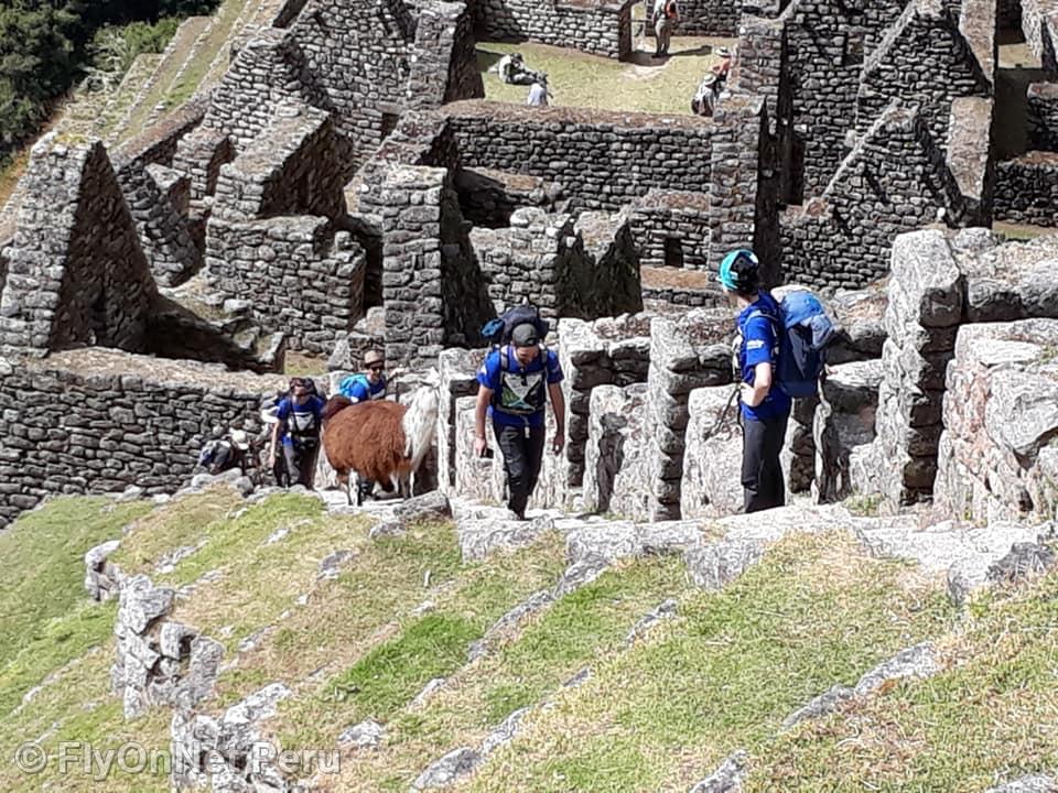 Fotoalbum: Machu Picchu